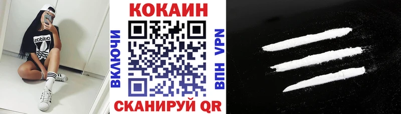 Купить Кинешма Cocaine Эквадор