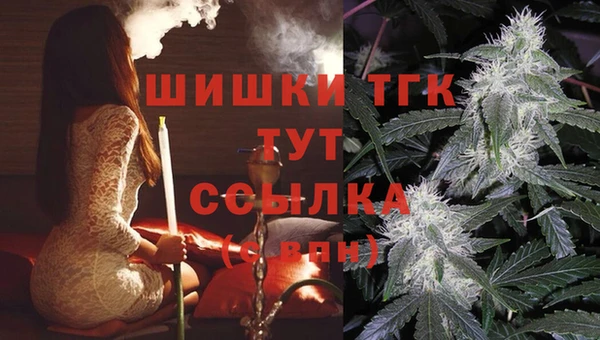 спайс Алзамай