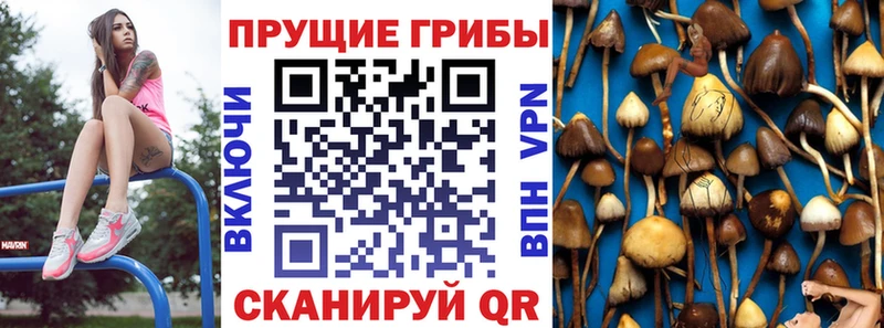 Купить  Кинешма  Галлюциногенные грибы ЛСД 