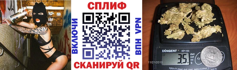 Купить закладки  Кинешма  Бошки Шишки Amnesia 